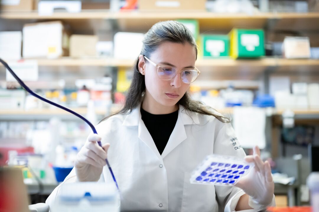 Research Support